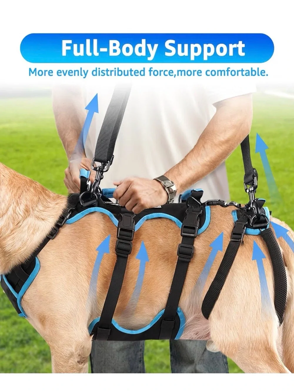 Blue Dog Support Harness with Lift Handle and Adjustable Straps